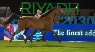 جمال الخيل العربية يزيّن الرياض في بطولة الإنتاج المحلي 23 أكتوبر